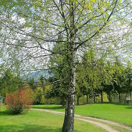 Dom Wczasowy Wojtatowka 3 * Zabnica