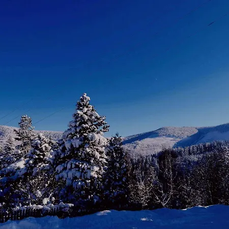 게스트하우스 Wojtatowka 3 *