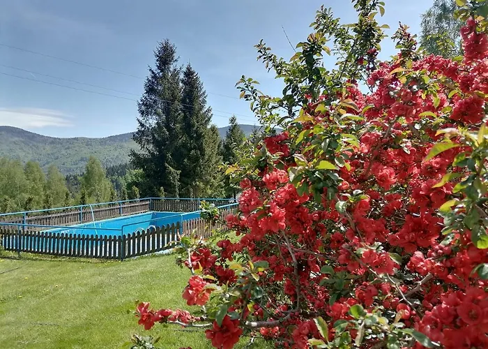 Wojtatowka 3 בית הארחה Zabnica