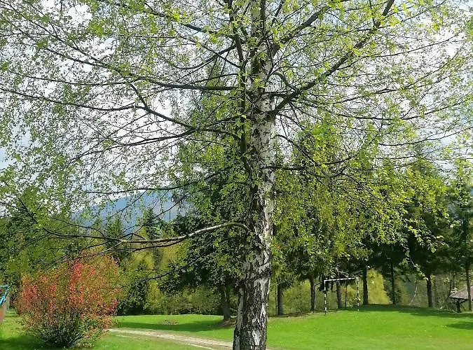 Wojtatowka 3 * Zabnica