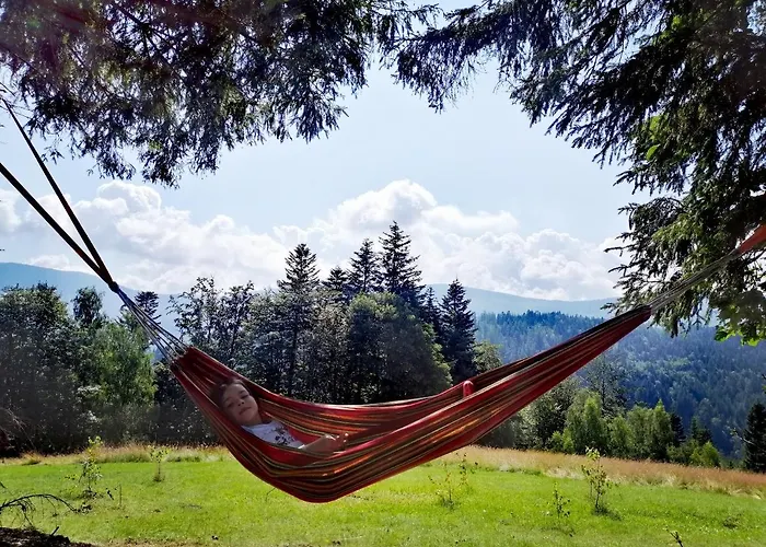 Wojtatowka 3 * Zabnica