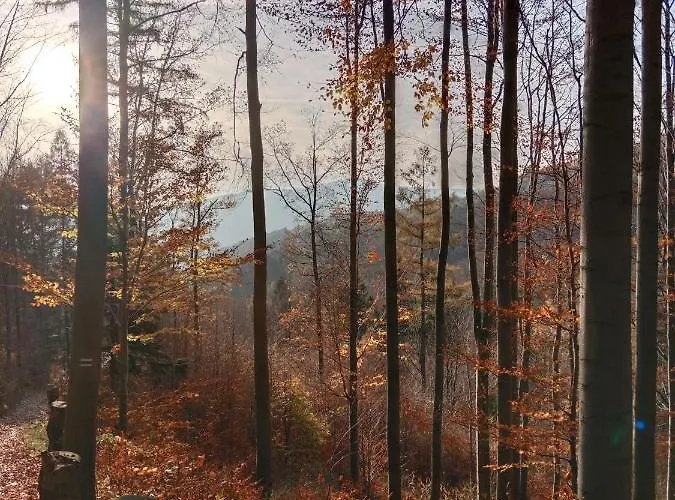 Wojtatowka 3 בית הארחה *