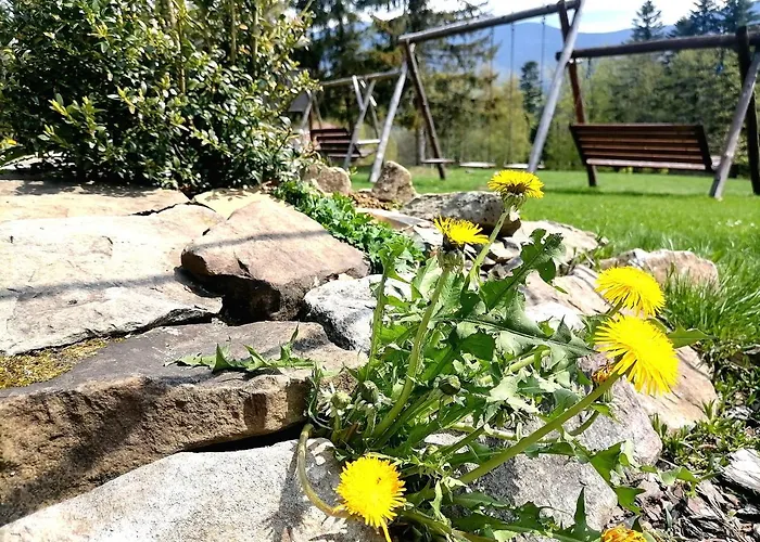 בית הארחה Wojtatowka 3