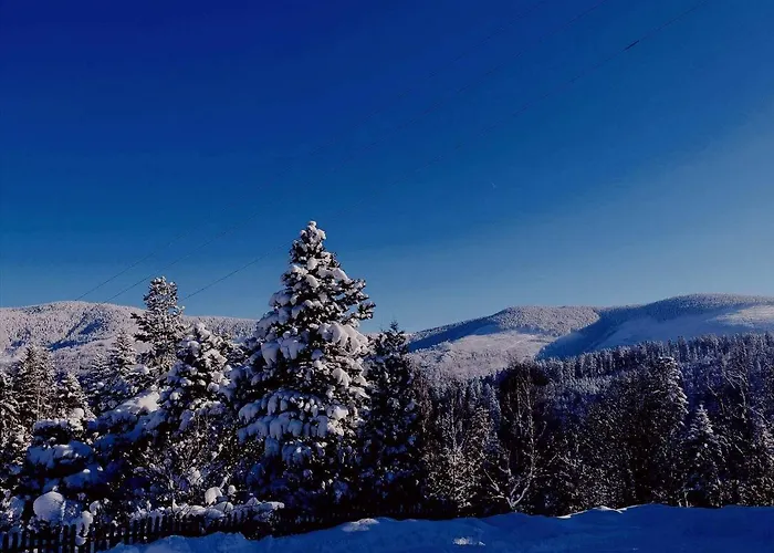 Pensión Wojtatowka 3 *